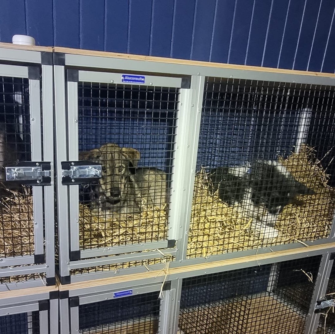 The heated indoor kennel used for rest and recovery