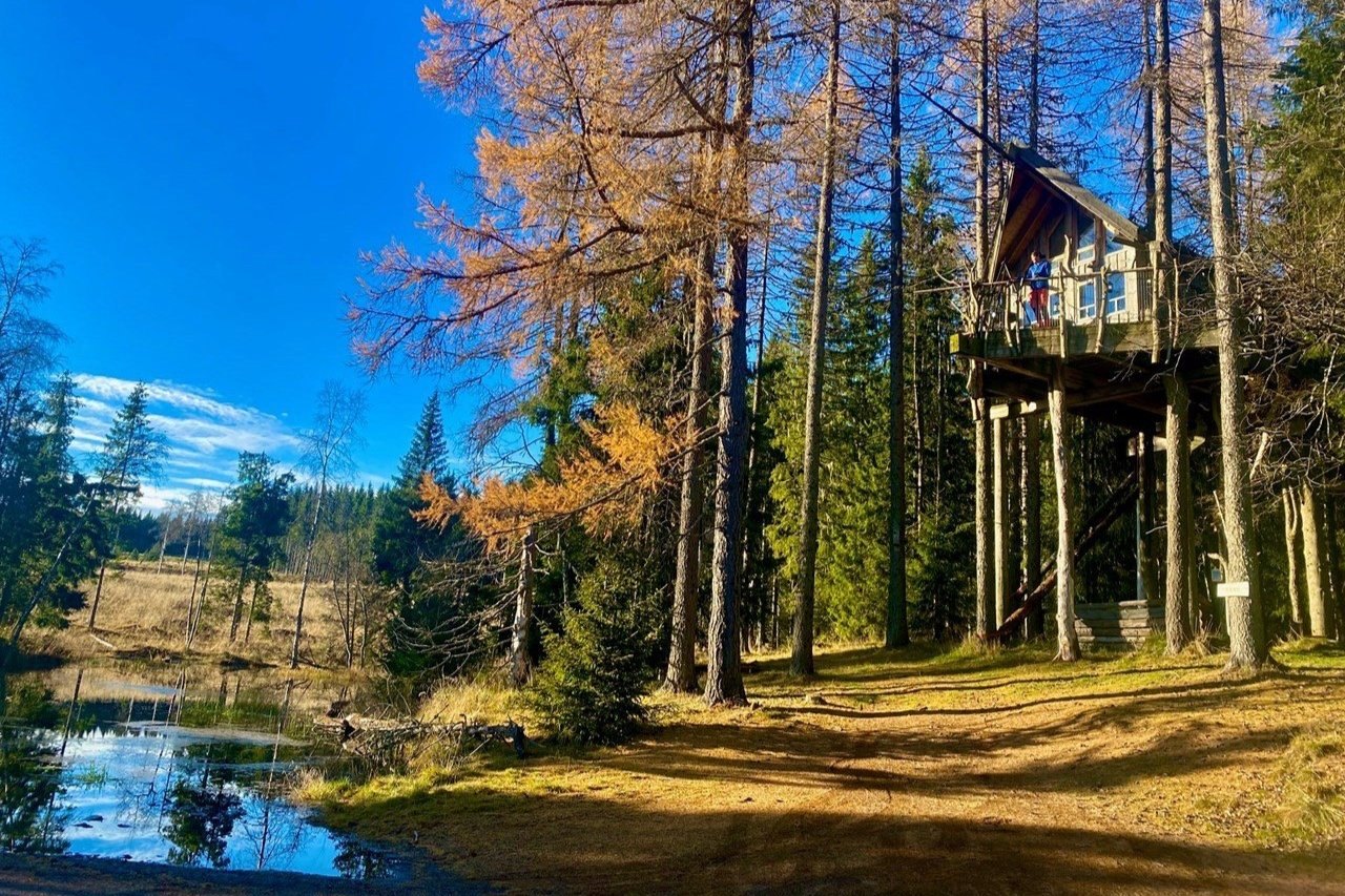 Tree top hut in Brumunddal