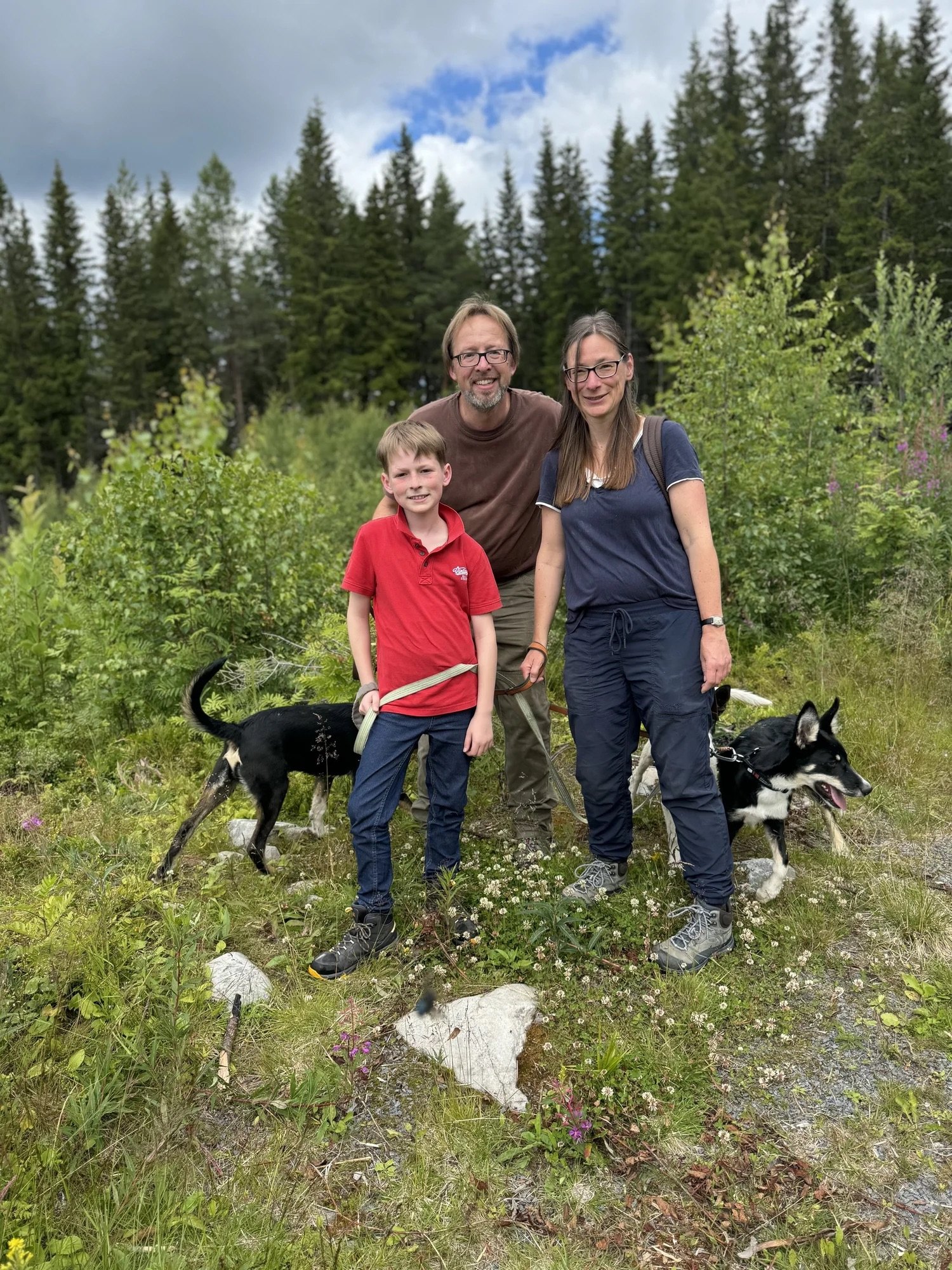 Husky hike to Harabakktoppen