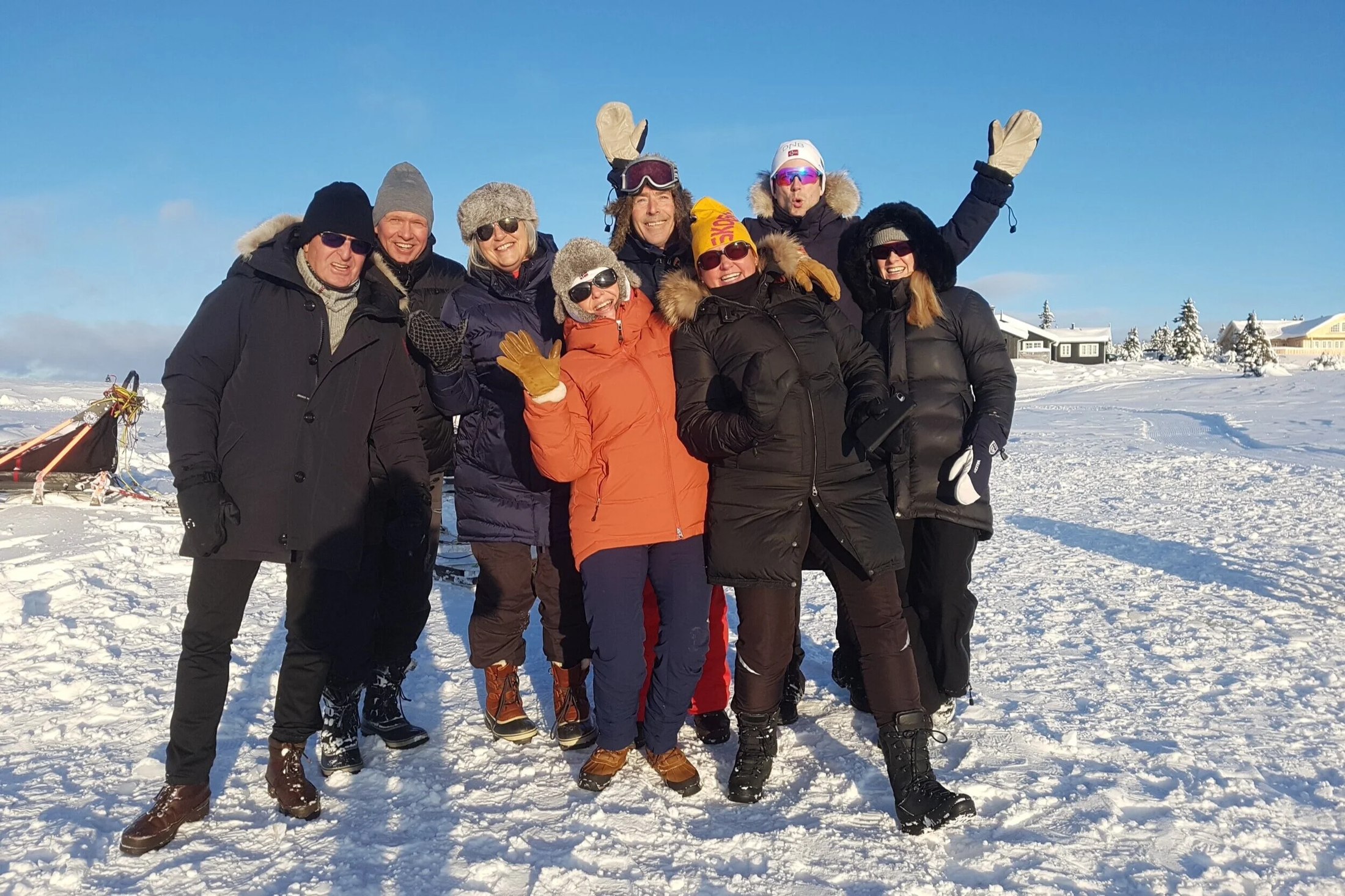 A group event with dog sledding at Finnøla