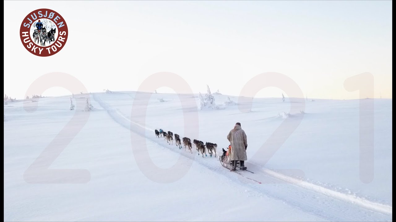 Musher and team crossing white plateau — still from the 30 km tour film