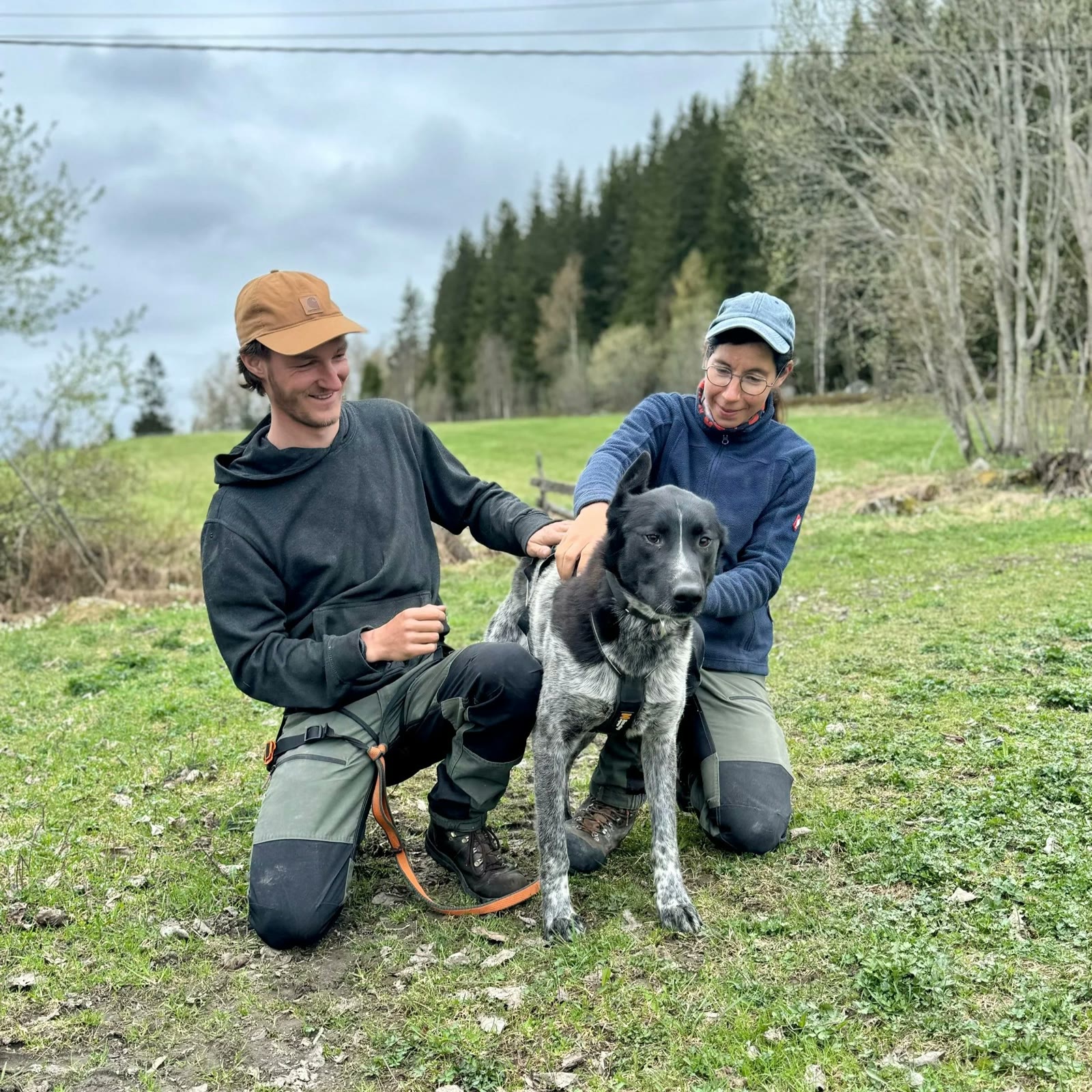 Guests with their borrowed husky on the hike