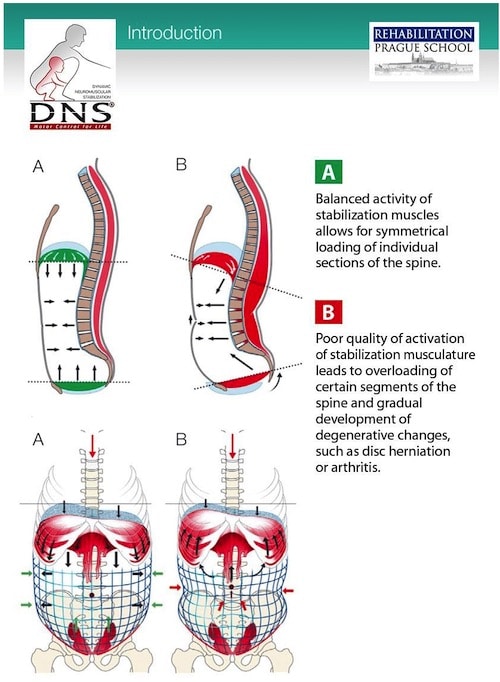 MOVEMENT IS MEDICINE: Breathing to Help Posture, Restore Balance and Relieve Pain