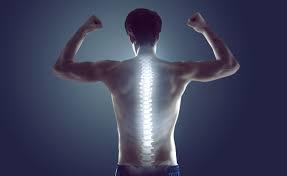 Your Guide to Low Back Pain