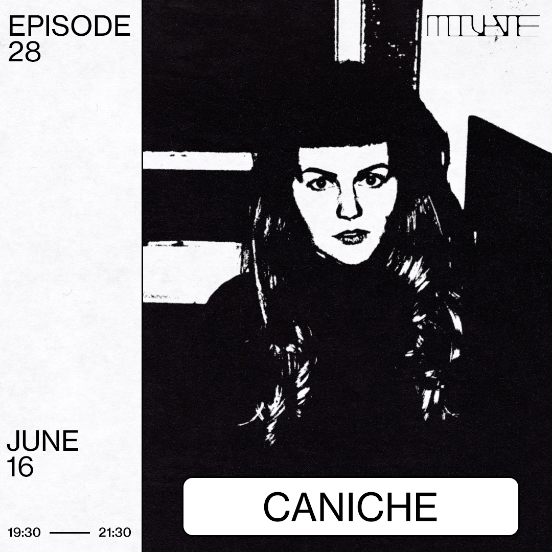 28 Caniche