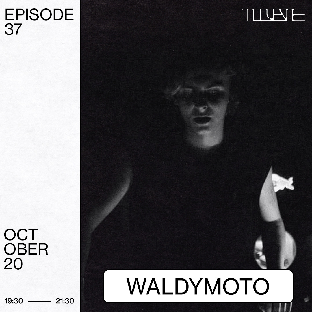 37 Waldymoto