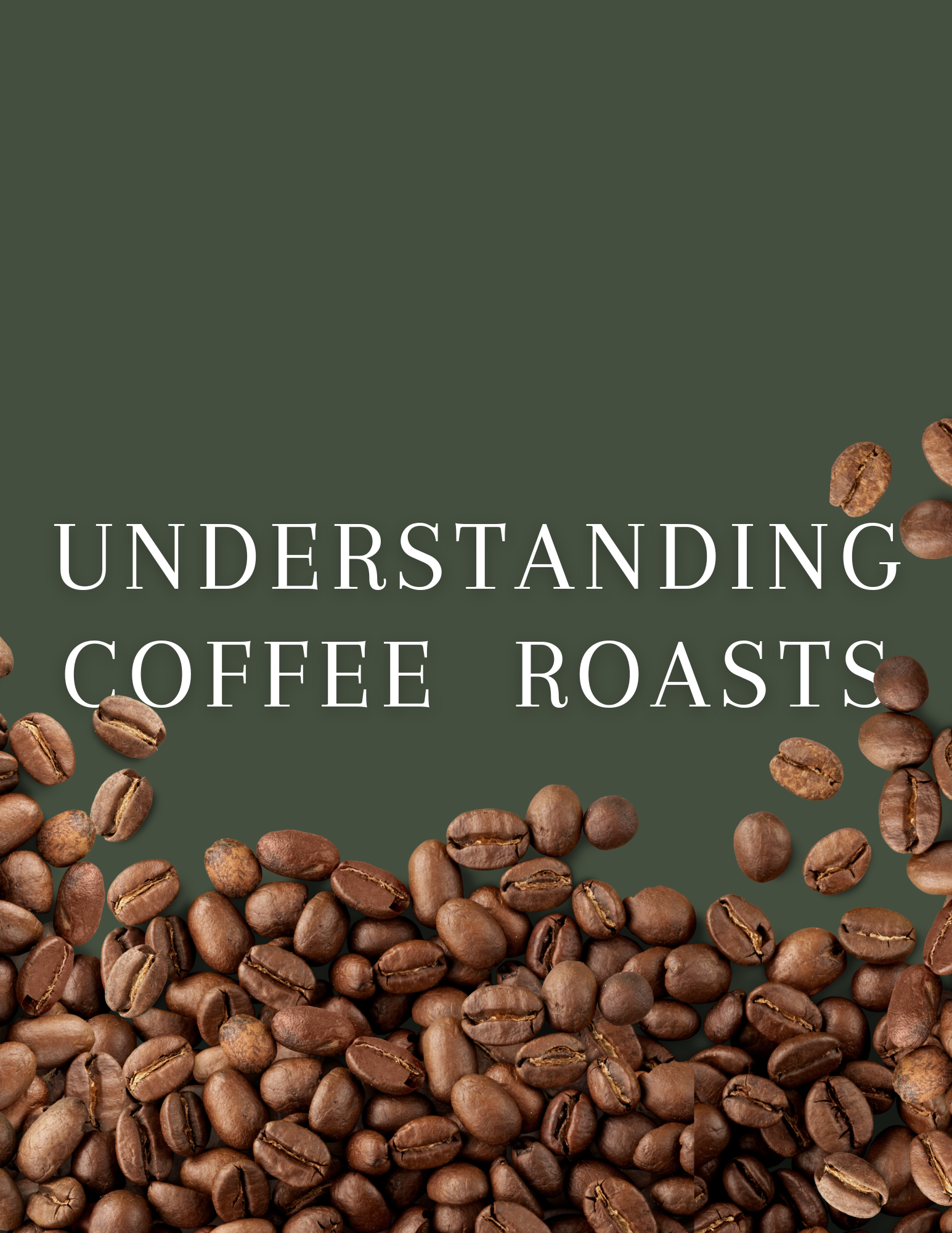 Understanding Coffee Roasts: A Barista's Guide from Arbour Coffee Co.