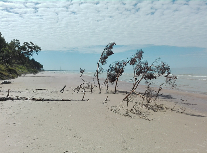 A dynamic photo of the baltic coast