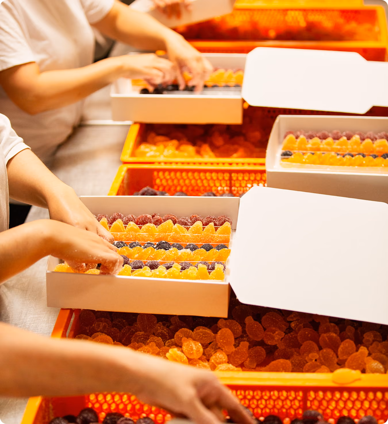 Doosjes pâte de fruits worden ingepakt
