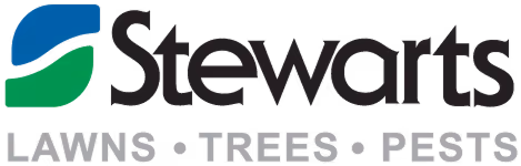 Stewarts
