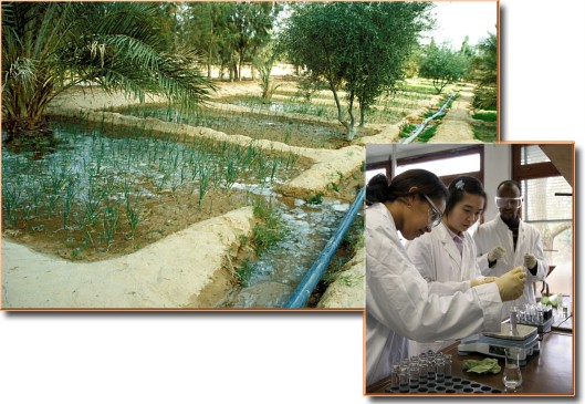 Tropical Hydrogeology and Environmental Engineering – MSc TropHEE