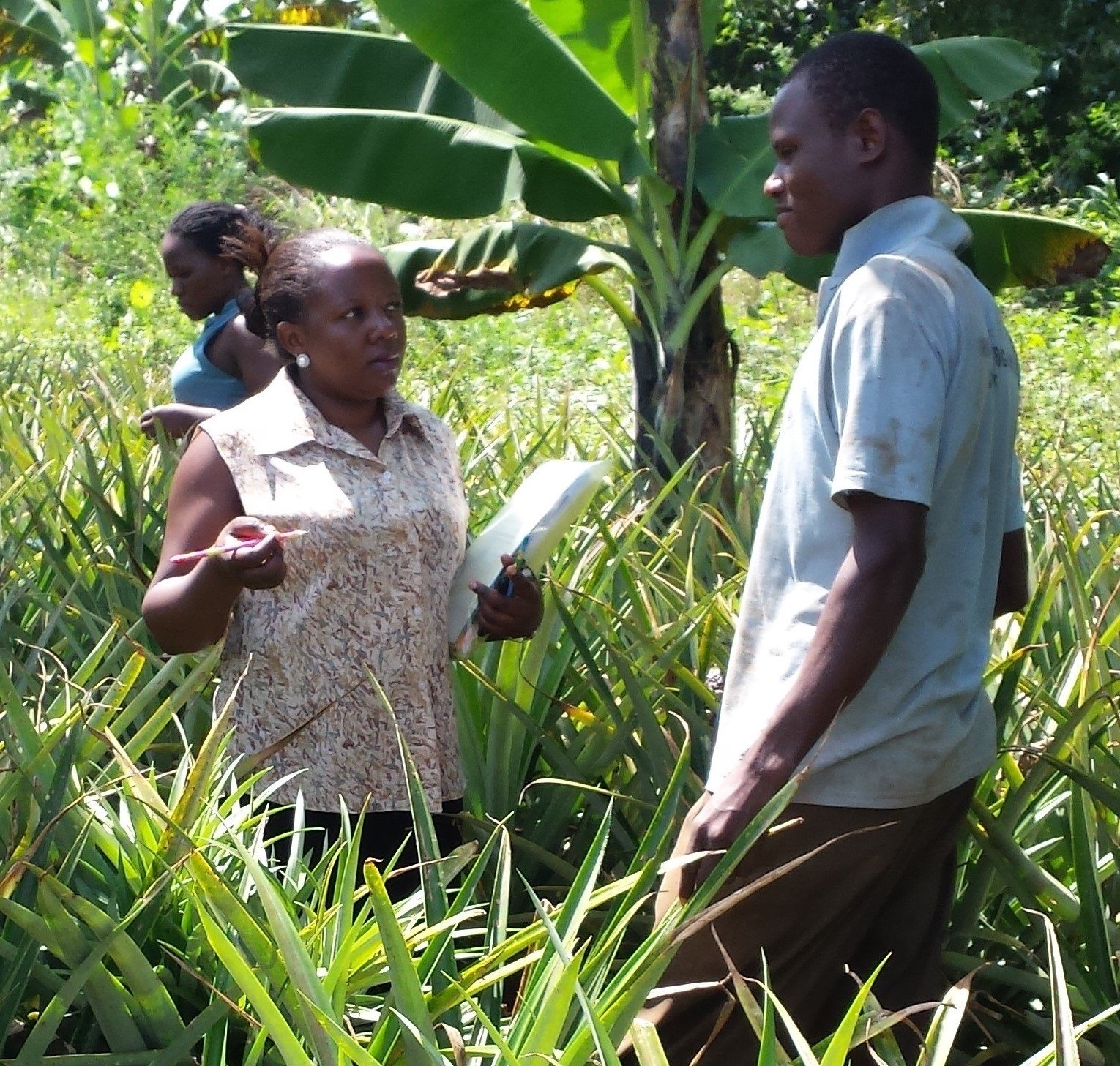 Agricultural Economics and Rural Development (Doctoral Studies)