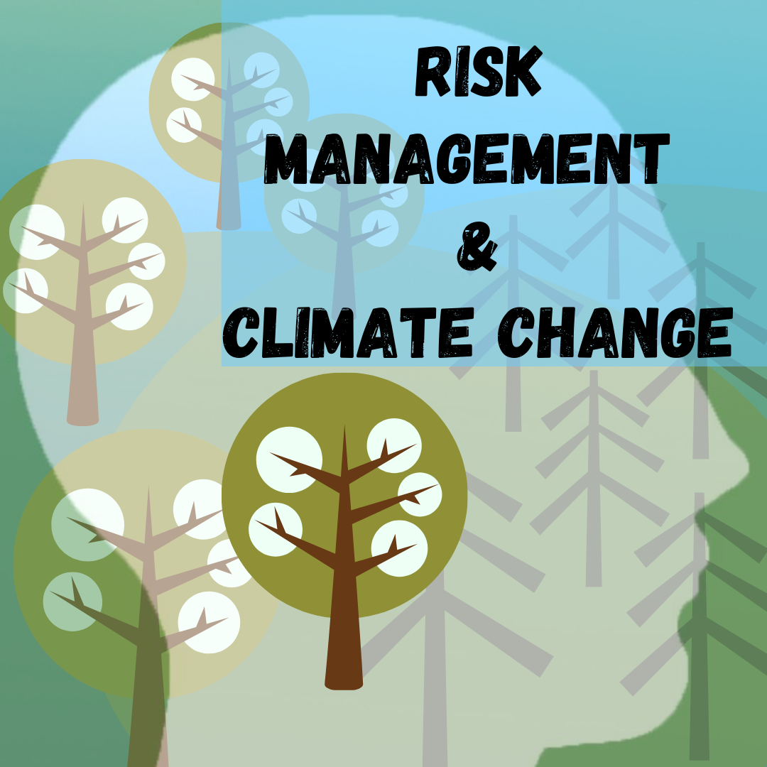 Risk Management in the context of Climate Change