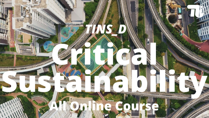 Critical Sustainability