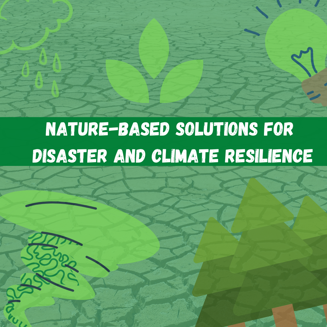 Nature-based Solutions for Disaster and Climate Resilience