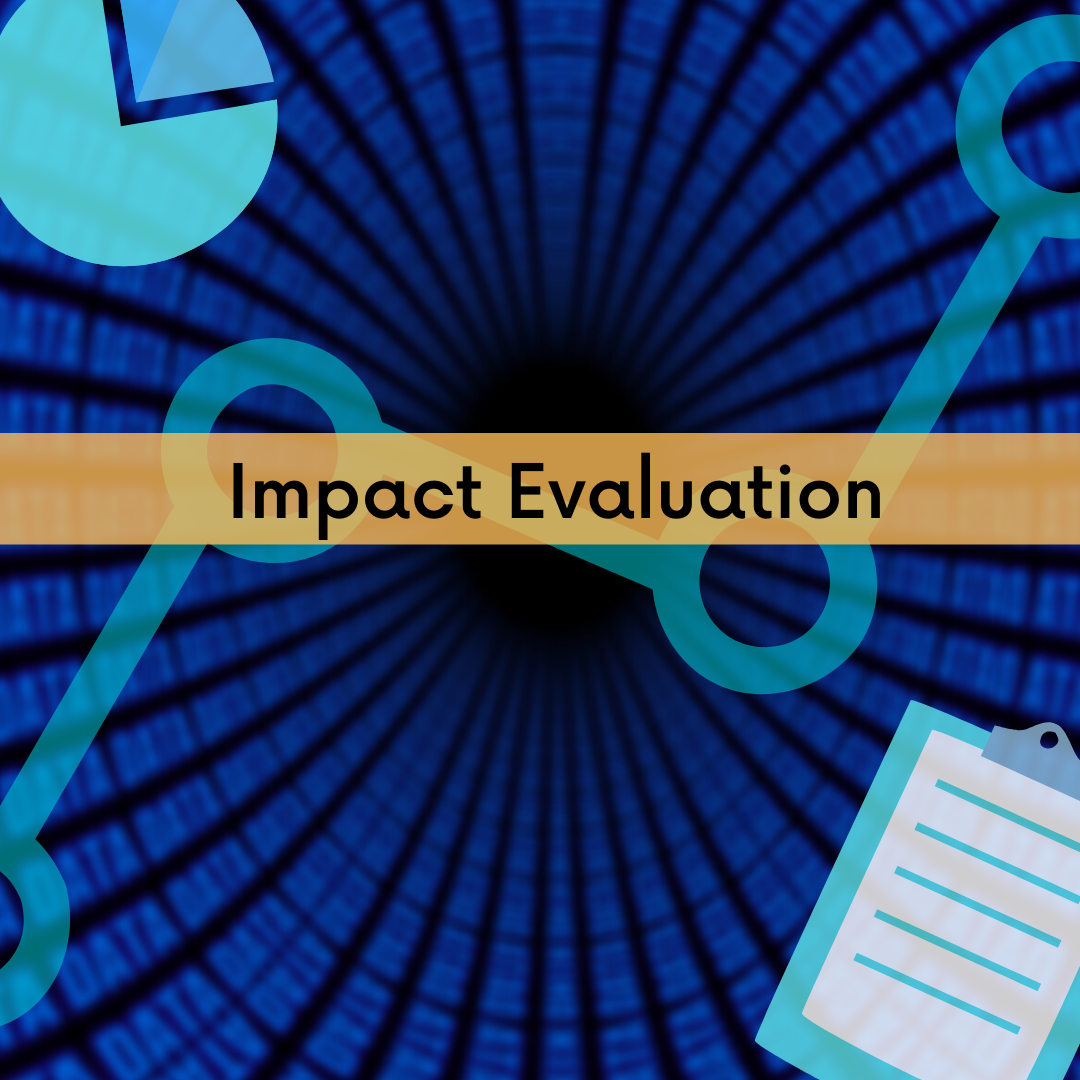 Impact Evaluation