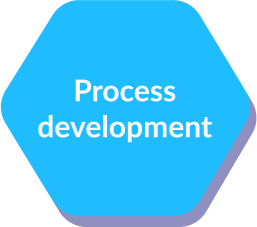 Process development