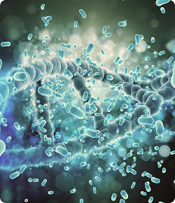 3D illustration of gut microbiome bacteria and cellular structures for gut healing reset