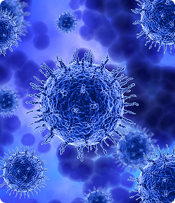 3D microscopic render of stem cells and exosomes for cellular regeneration