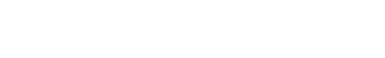 Vurvey Labs