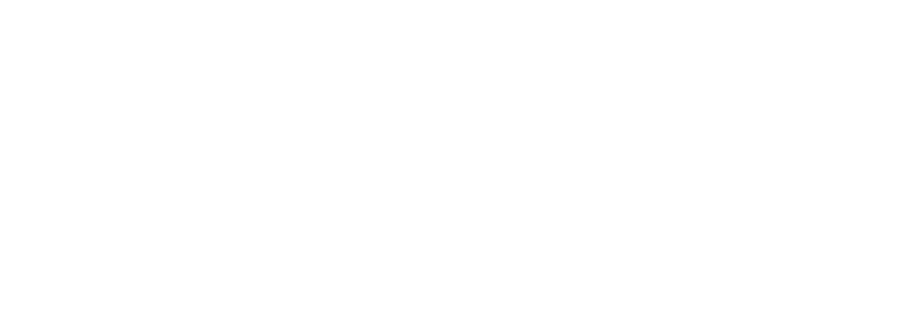 BigID logo — Digital Fight Club sponsor company