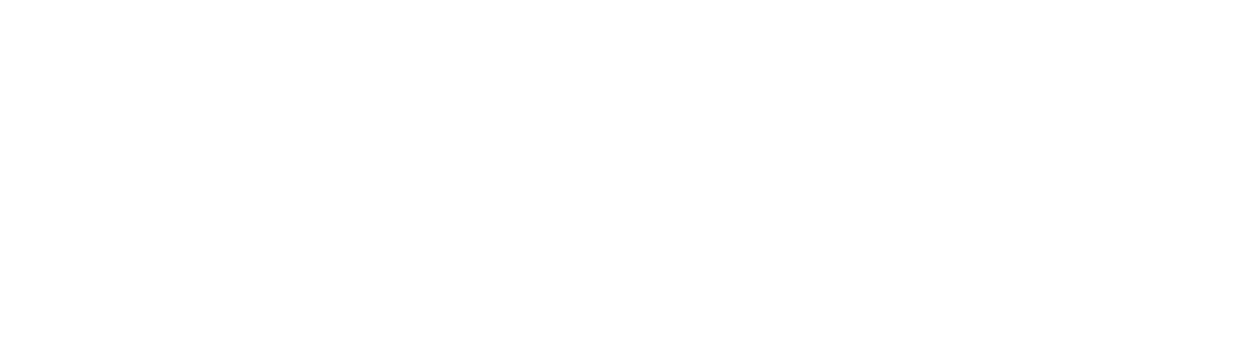 Seldor Capital logo — Digital Fight Club sponsor company