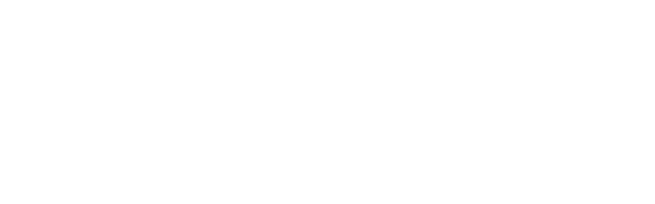 Camelot logo — Digital Fight Club sponsor company