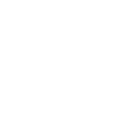 Station Houston logo — Digital Fight Club sponsor company