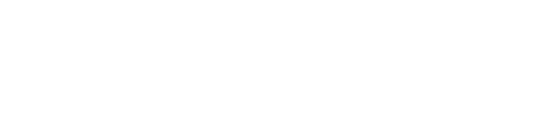 projekt202 logo — Digital Fight Club sponsor company