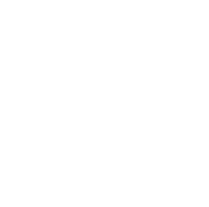 Distribion logo — Digital Fight Club sponsor company