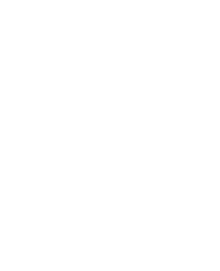 Palmer Group logo — Digital Fight Club sponsor company
