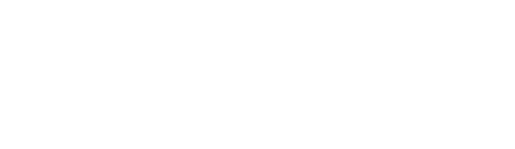 OnePay logo — Digital Fight Club sponsor company