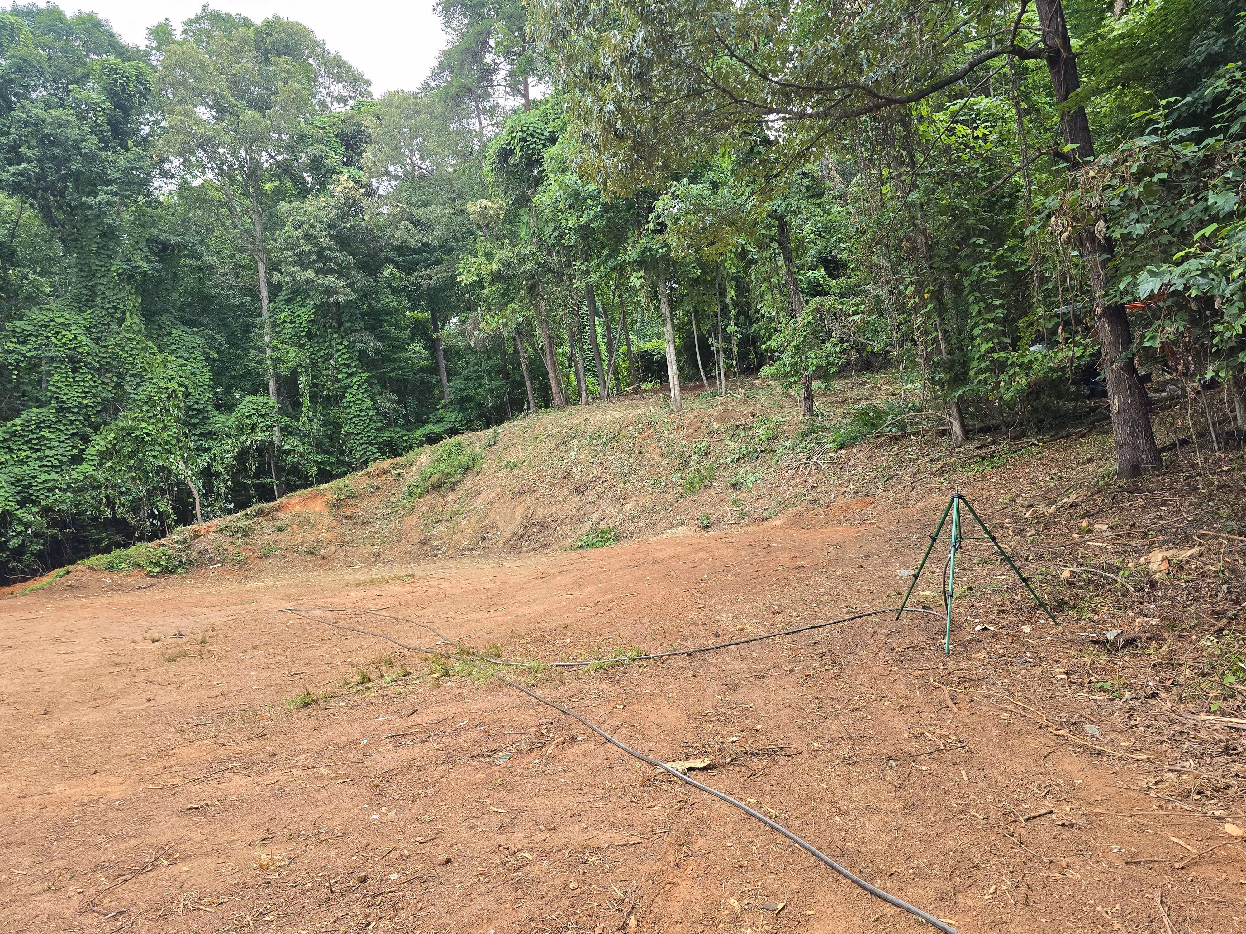 Cleared dirt area at the edge of dense green forest with a tripod and hose on the ground.