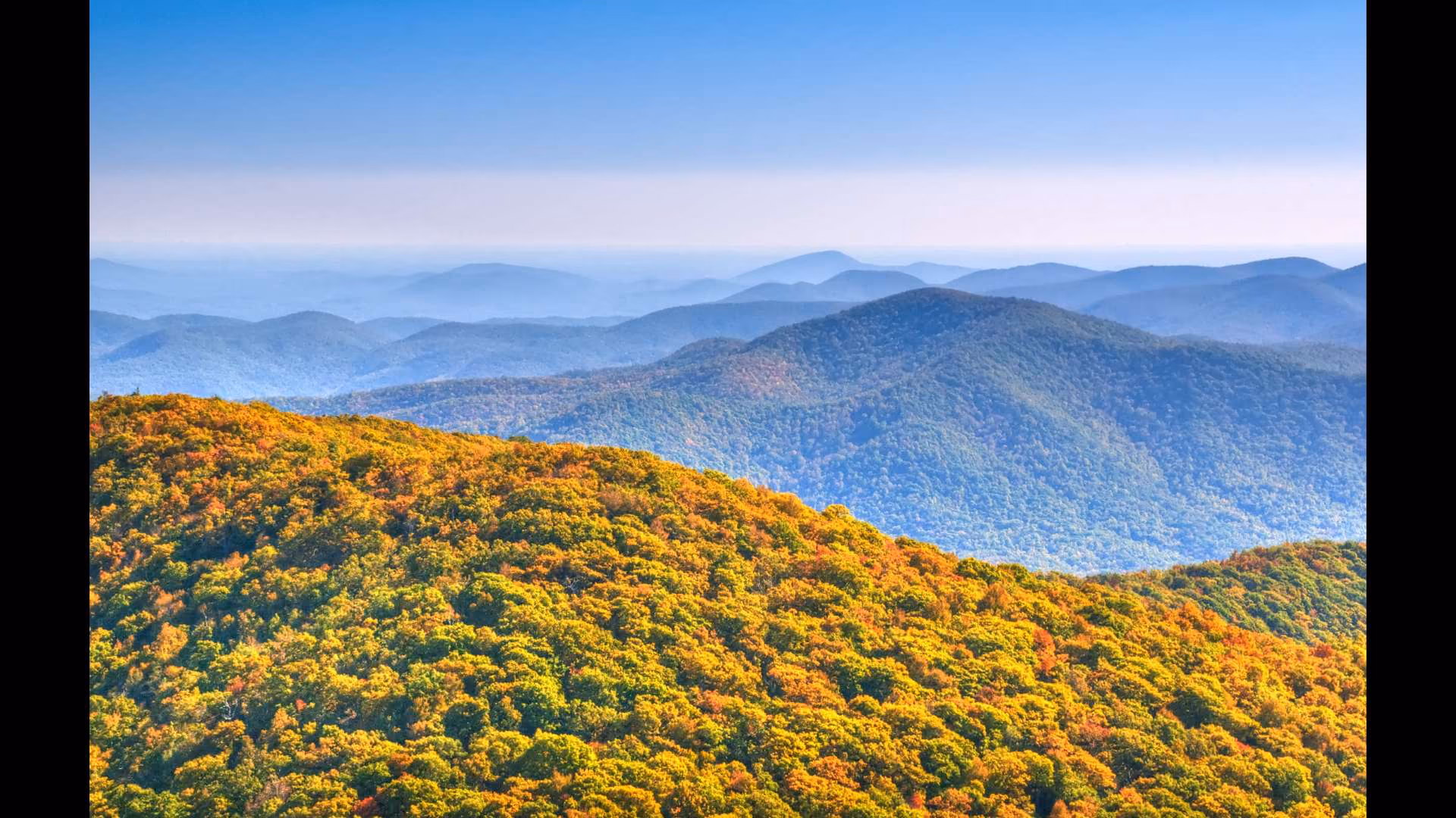 Forest-covered mountain hills in autumn with colorful foliage under a clear blue sky.