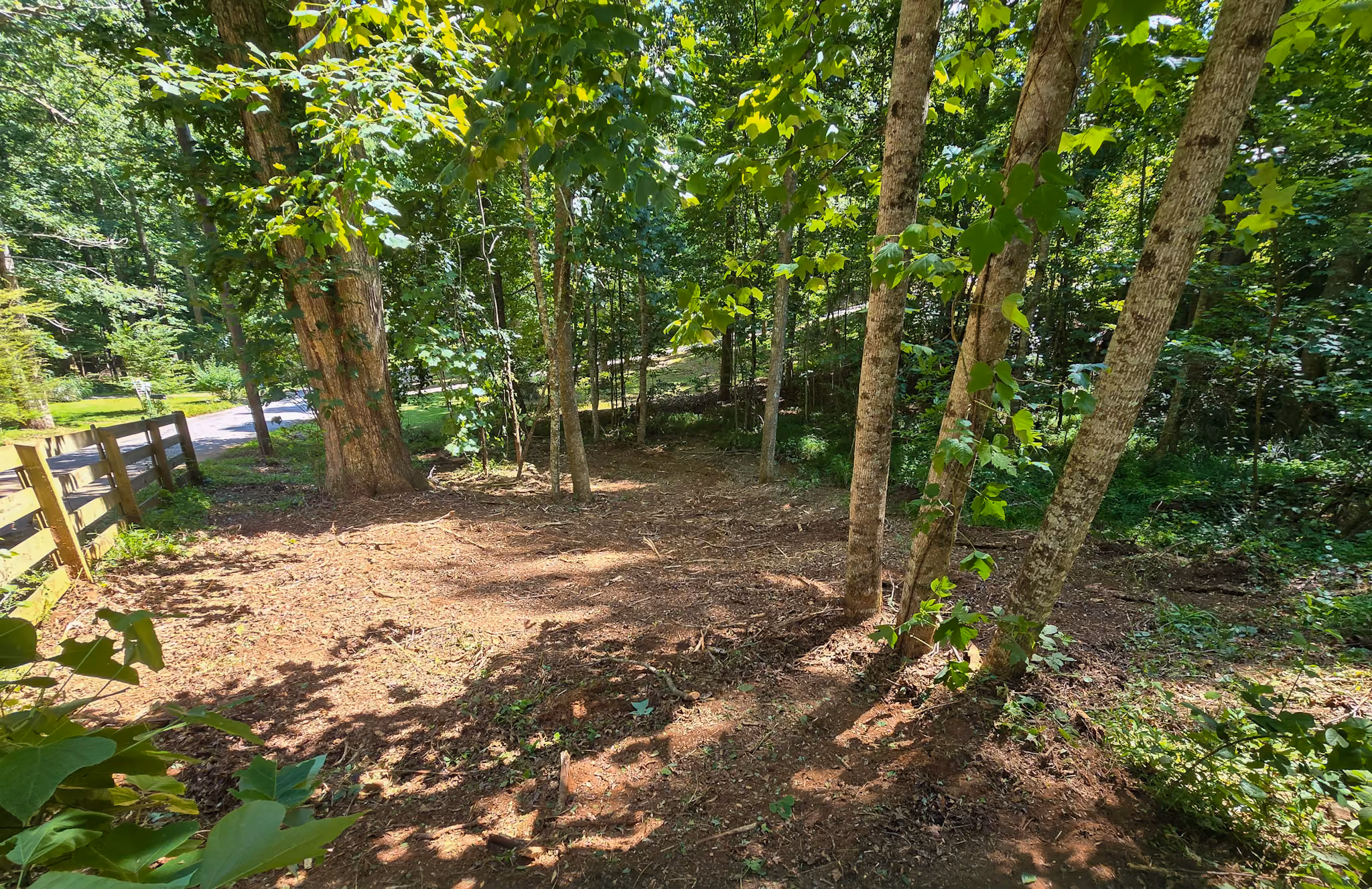 Sunny wooded area with several trees and a wooden fence by a dirt path in a forest clearing.