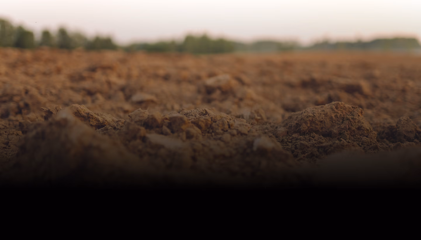 Close-up of dry, cracked brown soil with blurred green trees in the distant background.