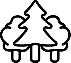 Black outlined shield with three stars in the top section and checkered inner design.