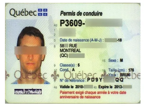 image (420).png