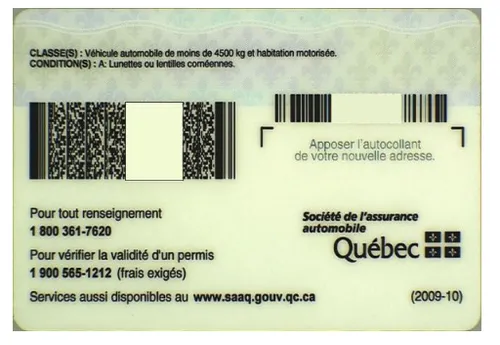 image (421).png