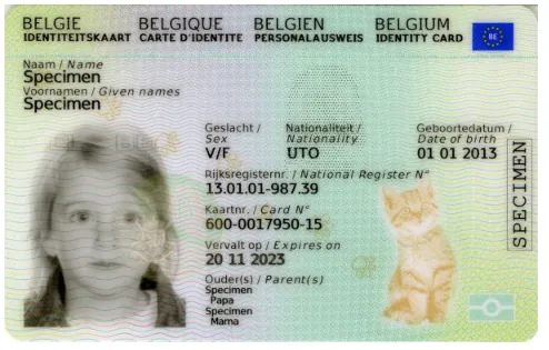 image (419).png