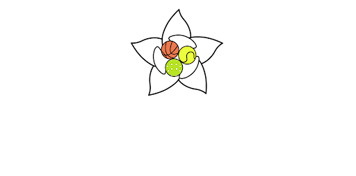 Magnolia Sports Construction