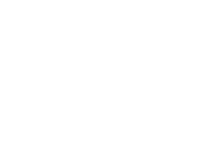 Sue Greer Team
