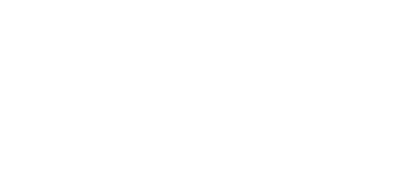 EVE Security
