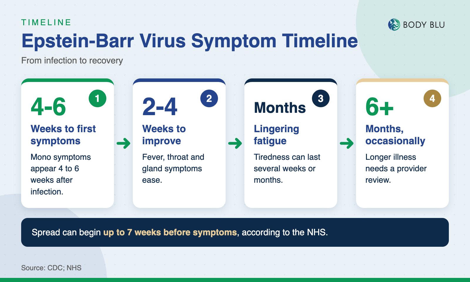 Timeline graphic of Epstein-Barr virus symptoms: 4 to 6 weeks to first symptoms, 2 to 4 weeks to improve, fatigue for months