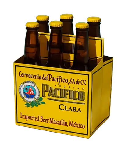 Six-pack of bottled beer in a labeled carrier
