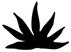 223 Collection Icon