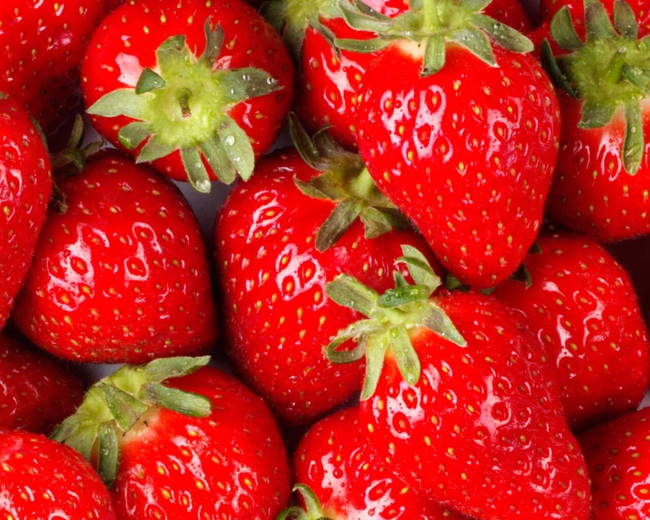 Fresh ripe strawberries grown at Eli's Farms in Fallbrook, CA