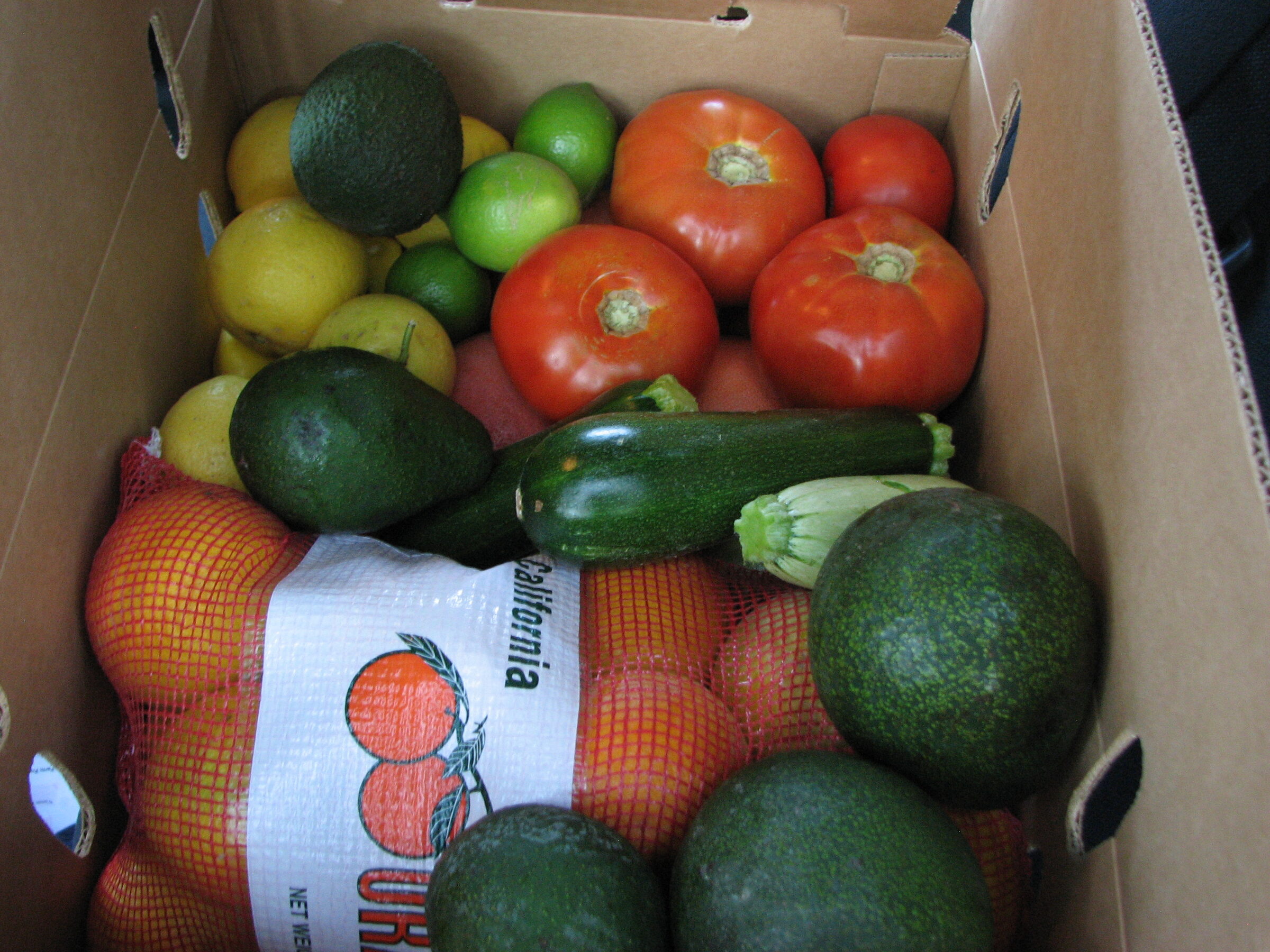 CSA box brimming with citrus, tomatoes, zucchini and avocado from Eli's Farms