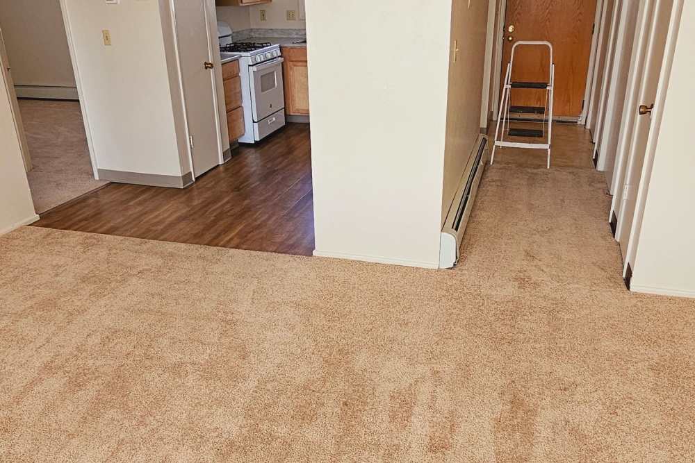 Unfurnished living area with carpet
