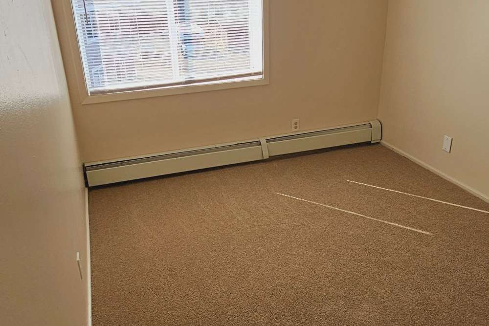 Unfurnished bedroom with carpet
